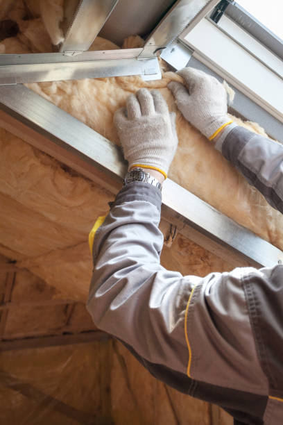 Best Local Insulation Services  in Country Walk, FL