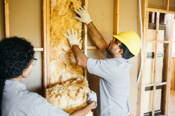 Best Spray Foam Insulation  in Country Walk, FL