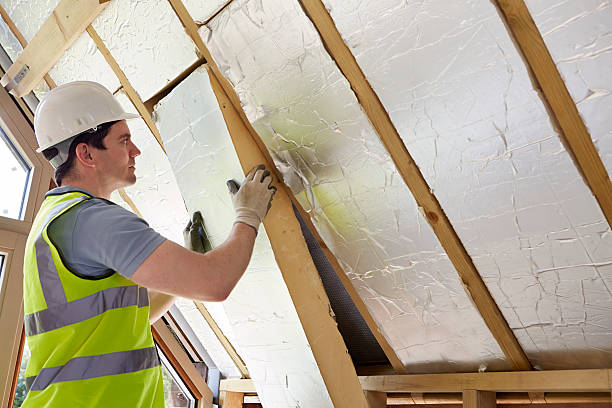 Best Affordable Insulation Services  in Country Walk, FL